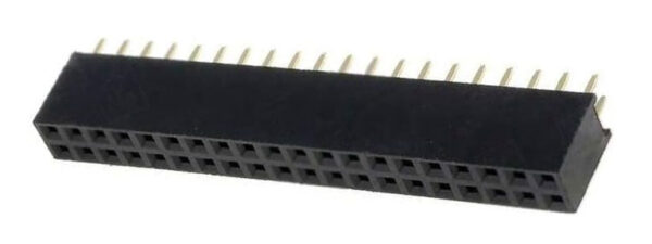 Conector hembra 2x20 pin
